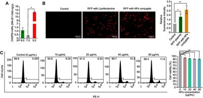 Apoptosis-targeted gene therapy for non-small cell lung cancer using chitosan-poly-lactic-co-glycolic acid -based nano-delivery system and CASP8 and miRs 29A-B1 and 34A